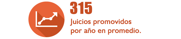 315 juicios promovidos por año en promedio